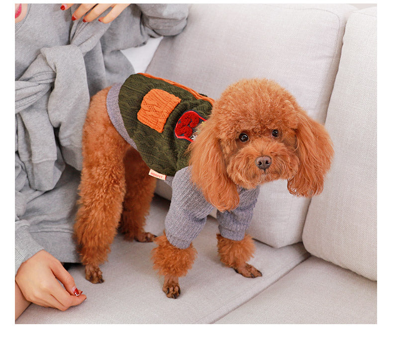 College Dog Sweater